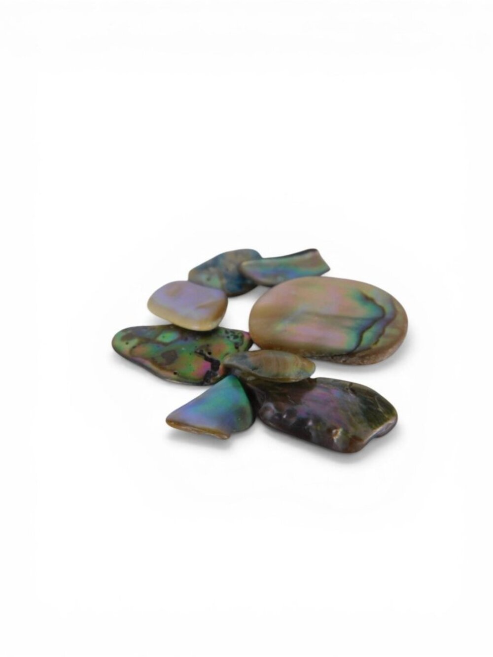 Natural Abalone Shell Pieces Iridescent Paua Shell Lot Small Craft Altar Decor